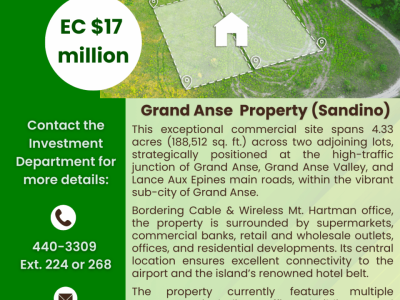 NIS Property for Sale - Grand Anse (Sandino)